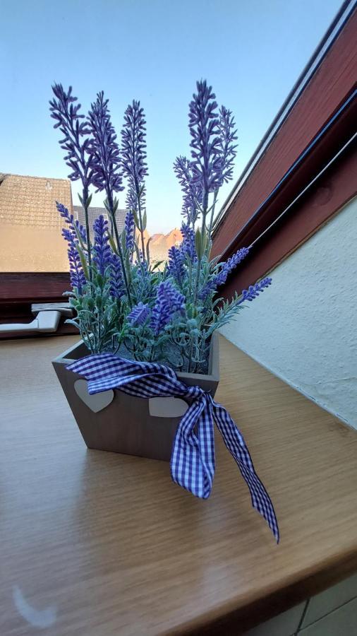 Ferienwohnung Weser Minden  Exteriör bild